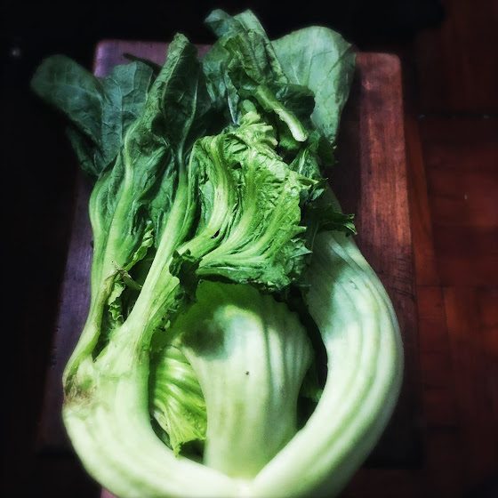 Chinese Pickled Sour Mustard Greens 酸菜 Chinese Recipes at