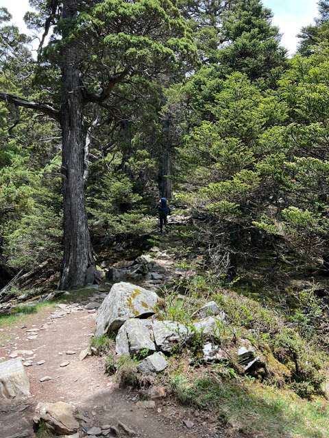 AL9nZEU2xPWgxIM7Wl17ZSxpYuA_xALZHoA7j-1gv9uwS-fojyn1aYyisiW2nEM4wxoj0GYuFxdI5GT1srcUqBSM93QszLKQvHHSQjDiytmDCBXvO5656Wxv7aojBvj1DX9LT1XH68yBipCfPkFbas-yM_WQ=w480-h640?authuser=5