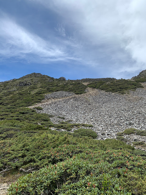 AL9nZEUOAeMF9vCD-EnUDB5eARLcHkyevkuJyJu4iQ9N2e5Jhr5qiNJuPWic6j_vki01_6-oCKXmzcfrKY8zzsha1Dv5tc7jYVxGltmd5GwsBTe49eLseXNdFb5fPxMt5RrMpFnxJm9qx3D59HuzqKStKVqB=w480-h640?authuser=5