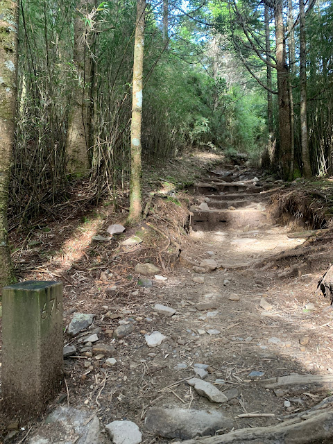 AL9nZEUtPXnSjmglfUDcaqD0ruNEbCrs3UIoae6dHGS6egLjCzgZ6bSsINnVloFQoQKYBREgA5VD5TeX-dIOOroDHRmQQ8p9wo08OflBRhN9rkFUscIs8J9e4u8nqYAGppsw8PhDzU6pRQfSgUXQfWR0Z72m=w480-h640?authuser=5