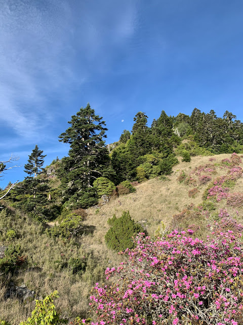 AL9nZEUz2h3FvK1qRBsnb8hdVv-r6w_WuFJ-VDiMAVRZuDJ7nT5VqnUgvBg4LTK-pfg8Lzy6gnSMUI6a-6B0noOH9uTTgB3BUpQ7Ze9XPkNQZhiIIgzJEjVJCsyjM7_fZmaBx7mcoH3RX4Uzf2Iibgjb6fE9=w480-h640?authuser=5