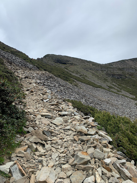 AL9nZEVDjkxNtPP5oylDLC6yIAb5DNtPIHOL-BrSyaIEesUNcfk_pJOSorfirvGzlKUy32aL-5MNaYp-qjbQhFftikFXEvZ-vuB6nbiaXQtRt_yrIrXdMedZubJC6xXfYBuoyH8pZ-1wn68cTUPP6zp3yncC=w480-h640?authuser=5