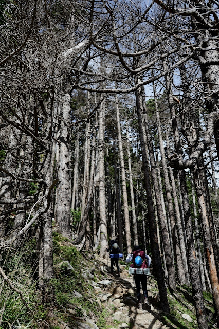 AL9nZEW6G8HzNZKIuqZBITTaxeAoXYWIgsdxAjlug-Kg0tuDyg0S7wwqRag1CY2jtPvFIWmtUPlxCKBgYdO6hMo_PhcOYDj7NWRucIxS7BdOdF_pJOhdcCiSRIR2ajhIHMZirMqd4oA5bUO1YbAEXzjyS-1v=w426-h640?authuser=5