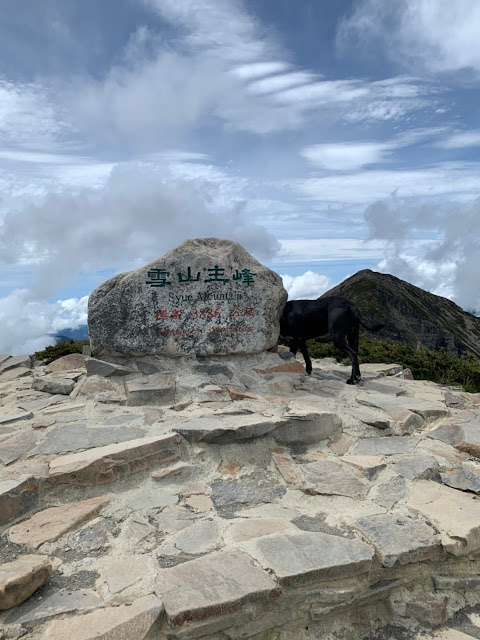 AL9nZEWHhspDv9gliycE9Ag7zPubHI4lW-ZFlYlBprJ30hjuuNF7M0CNNJJf6seI54c8Eg7et2vV5nTfoPVarH0Fv3z_J2G7pR2-b8gzoOkQC_Ocq3FY9o01QClugvKs31fhz9kb-3JDYHnQxLsYmdddjiWY=w480-h640?authuser=5