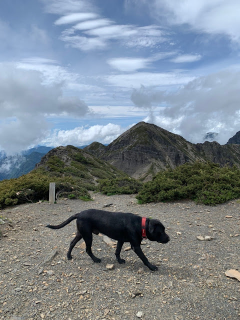 AL9nZEWI6GO_OX21_tioMJ1vw-ddUGBjvFWuyu9hKAQ7MbuZEr9B6XuJqZc8ssjtpZUBriZe4kq5icn7_vwLqh4z0V1eJfsaIOBCv8aCDgXFO5m0AEUSnbCUeO7d29g1I2Il8GmrVkCnfEFu8DmcPc1V_FUV=w480-h640?authuser=5