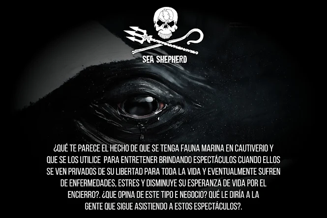Sea Shepherd Flyer 2018