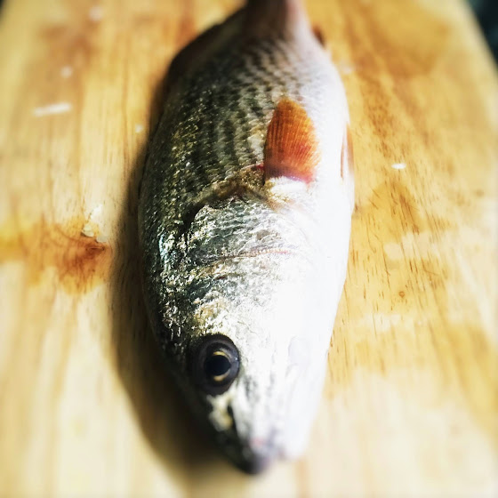 Chinese Poached Fish 水浸魚 Chinese Recipes at