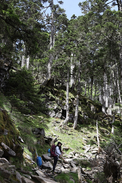 AL9nZEXMixc_v2esatNuItitN4AQdu7rTiao3KkjUcST9ai9CytgcB3Bjg-usXzyYSJZRSGSPFhT9GloGJFydn0ns2MJK_MFRC7FX29EDg5rt0VUqvkqIiNs2OEenRP-QsBlJdRPtocG2rFIvTtSnvzRneGN=w426-h640?authuser=5