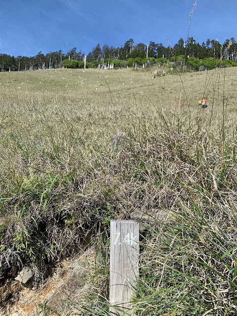 AL9nZEXNUcOAun6a3nFqzpEr5tCziMra9p50ogfMXok73qwT7PBqQ014EXQjinumCNna2vLtjxICuW43uJF9_lAakt-qKM49viCNkCo47RHy3putQD_kgitgnTAS3Et_vtExy-HVS4-t3yZqzsAfEC27odF2=w480-h640?authuser=5