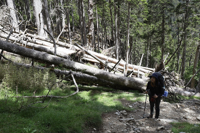 AL9nZEXYNmCFWeASYokgSqKrN5rAO99yzmUtEmwinqRjy0Ff5ZWYhNLp5d4MZFbk_z5ksr346brSNVQMi21hXt6Lfx0ZZSbBcIrjSvYEY_9t5fi2gO8pC23lmjmdVlUqa2V6xMZ3jfcW5SpHtu3KaI1GRfUE=w640-h426?authuser=5