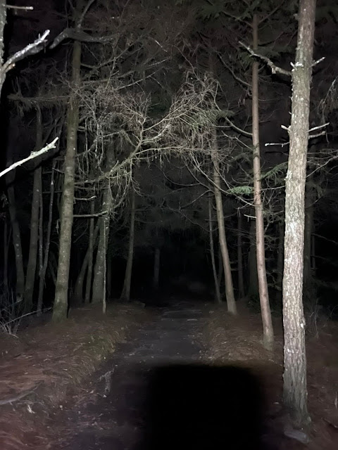 AL9nZEXnREIbgW5LQfIZ5wDXk39pJi8dMESjtMlyIaYTRm6qLFFNPcdXpHs8XUqAD-82m-a_jn4iDoqme2gmlyRANf9h38rZem9xtzEGE6EMnDxkEB9LS9JlLKlH5SmEDVSqWoZ19UO5h-PBgPE6x3tBSdYt=w480-h640?authuser=5