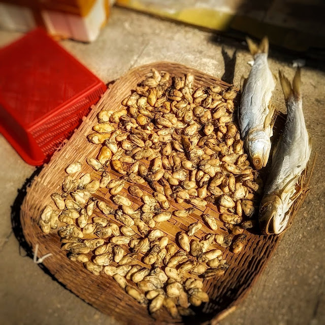 Sun dried, Drying, dried seafood, dried fish, dried oysters,  曬海味