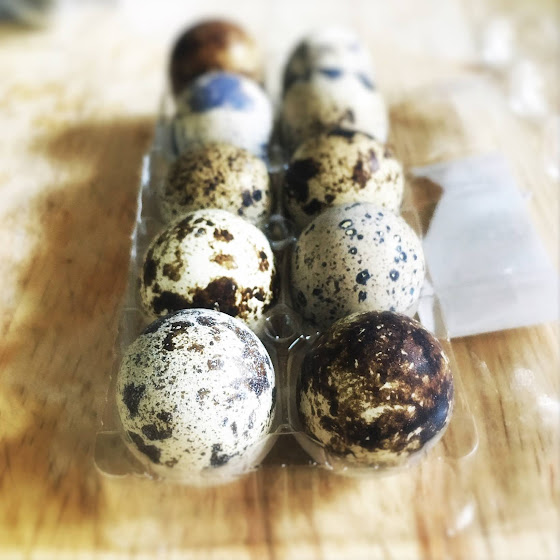 Chinese Iron Eggs 鐵蛋 Chinese Recipes at