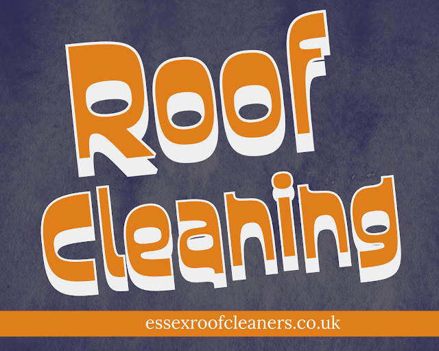 Essex roof cleaning