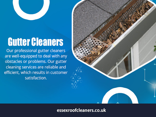 Gutter cleaners Rayleigh