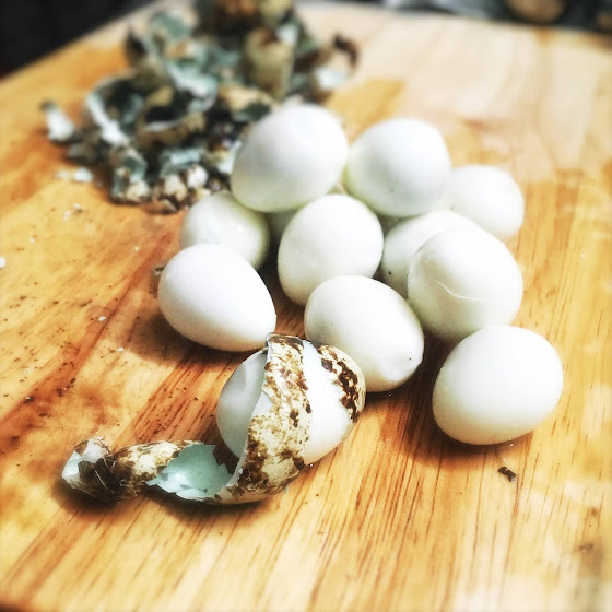 Chinese Iron Eggs 鐵蛋 Chinese Recipes at