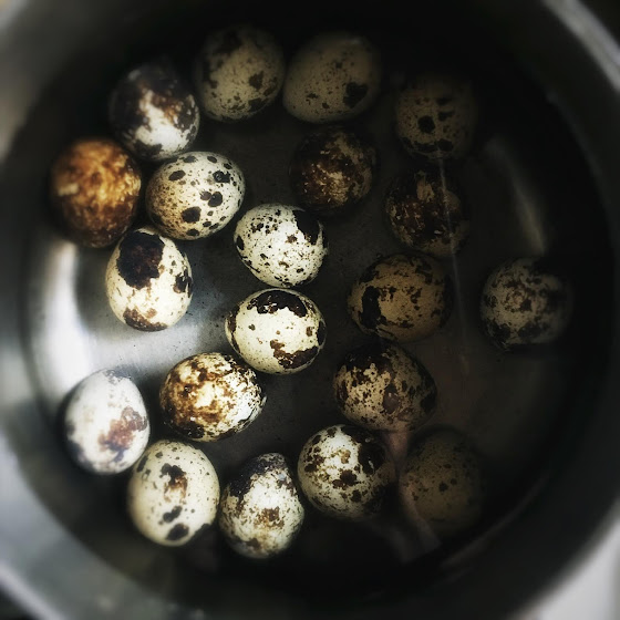 Chinese Iron Eggs 鐵蛋 Chinese Recipes at