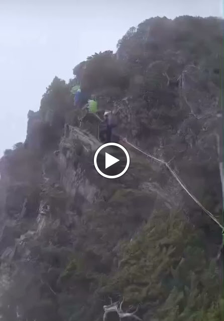 AMWts8AFErr5yEgxtBRlwMFuL3-qVhp0zjG5d9NdslbIL02Vv9KWUevJMj_ekMkiqg7tEwtNoofYGK3wQnvAHf4W_8r8FvVzCbMVbXqAfUDMAcQ-DlptoLreEm5hzhm0JDhyijdsWTWV71XmHW0j_W4B_4rt=w446-h640?authuser=5