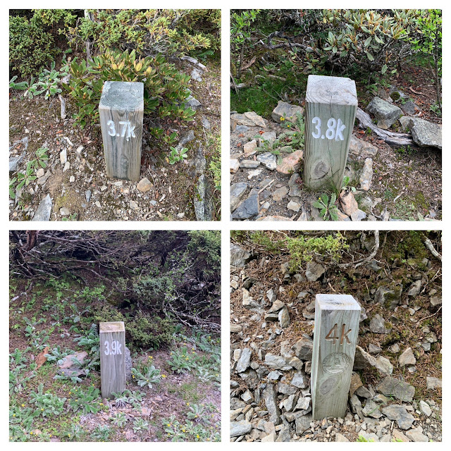 AMWts8AWN9sd67sEDMNAeMmiWRRpL4vA_pz1mUqBGmP301Jpg1tO-INzGn8vGZi2yNOd8HyIOZ62T1TcmWioIeBmdwL1h5dcB1M4mcw_ixg7odVgGFUU5ACnBfcML0i0tVxWmETnXbt2Arz8nEV2bPAlPu67=w640-h640?authuser=5