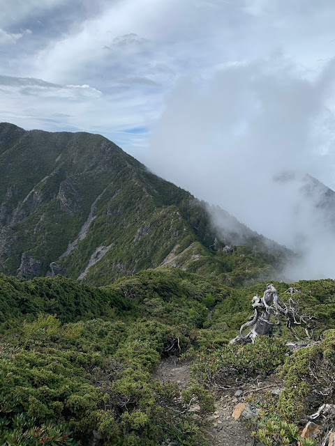 AMWts8AoYTSvgw0Lvnx8t2jycSG8WPLtUvqjfvjg23XdBO4BlNPGFw32t_pAyxiekUFqR63wMJjOM0oUug7boYep1aSWwnJOUoMWsWnmMxoc2zzBzbPkE_fY6WDB5Zbbku792veza-X3dis6FxIkH45HB_Lw=w480-h640?authuser=5