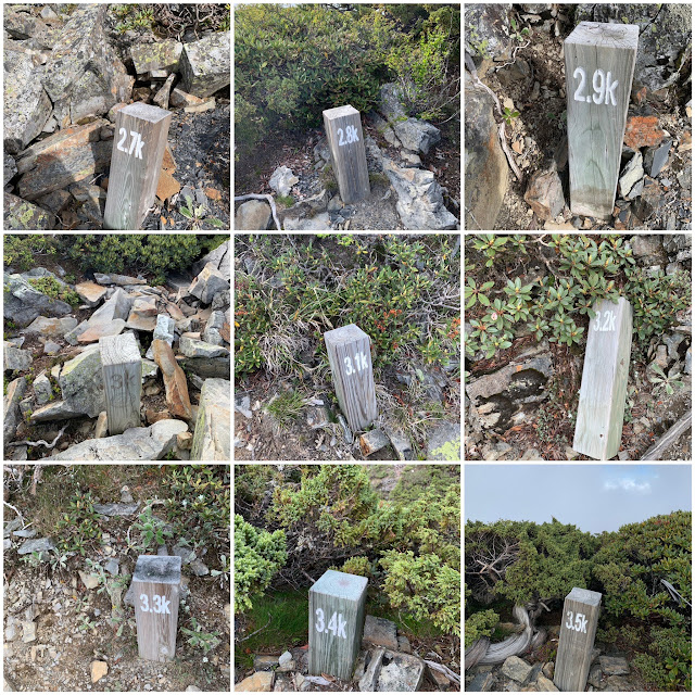 AMWts8AudTo994ApexzBFDmULOoHWI2G-8iimz-tWqp3CTrltcHsX9K3PD7-bx-VheLvlkimaG3GbdJ85B-bPOShJNDnL2b1EgwOz39WRb1Ru8zzS0hLAKlHYu7K3QiDHAmhEClHPPE92T0GbwktjjyDv_3J=w640-h640?authuser=5