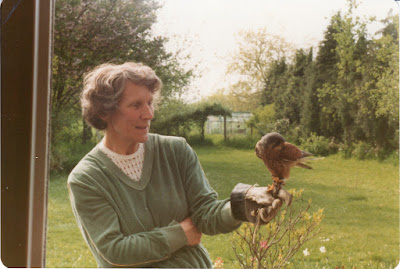 A middle aged woman looks at a male kestrel standing on her gloved hand