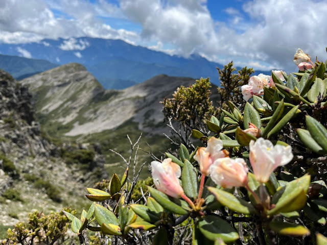 AMWts8BdtYDfWpq-GQc3VAMP5SK2wwilw3HM5jN6LfvScqPPot-otoM2w3lcxVSKUI8DcYFc8XA_TTtnsYpaivqUfV0N-y2xeFHpejujgPOBUKZ5J0MKqqzfxGAIPvVXzXl8wongIFb8XgAviRMyqvSWrRlH=w640-h480?authuser=5