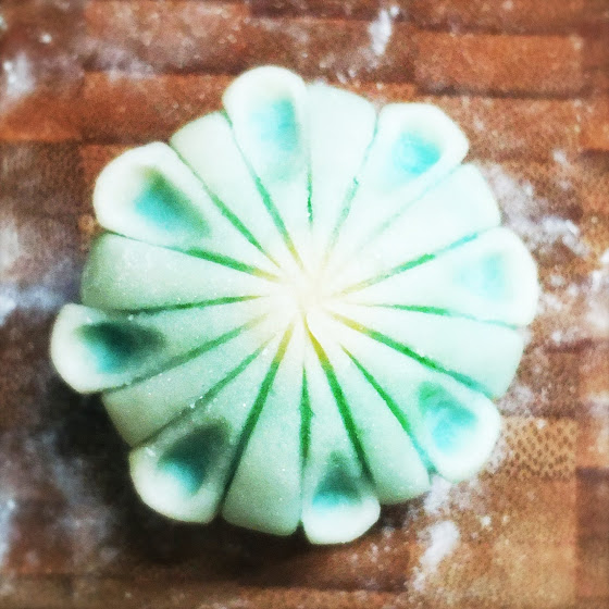 Nerikiri,Flower,japanese,wagashi,Chrysanthemum,cake,White Bean Paste