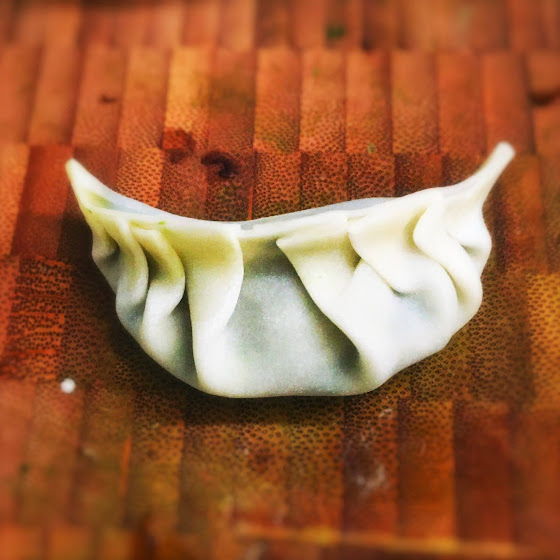 Vegetable & Mushroom Dumpling 蔬菜蘑菇餃 Chinese Recipes at