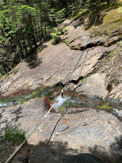 AMWts8COFI1EqzLtQT9qUyl-91wtIV76oWfuUBhnFecOvRuXOsLdcb21MC-BAkjW9SWsDZC_ISdJ9C7e_OVjYyzrfCqEcAHHHfbGtby4702zB3kgFx86Trgcf3FpnjrSySfznPM6UkODk2TsKcvEpTgD3_Ao=w480-h640?authuser=5