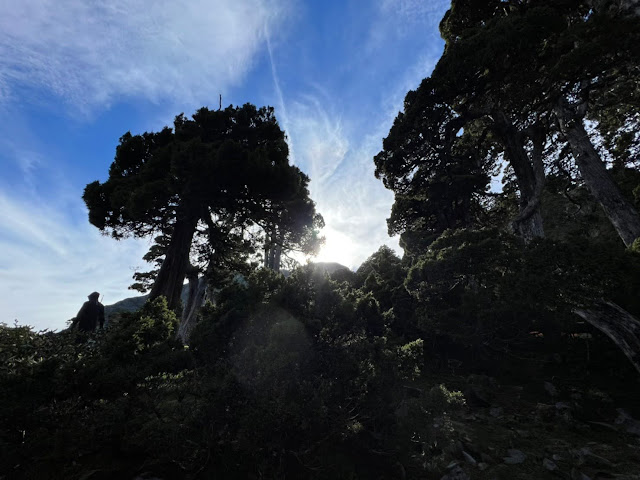 AMWts8CV6iul2_7WhOkslzu34dVfIss3ZzDWVBNRBSajG7dpV0Ct49dE_cd3eVaSE8iSzVh21vFaiK6wd1ZIsUSSFXLNi_HJ1ZMvF48w_GcvV1eEp2_fucv5WgHhdXipxrnluKcZ5tmrKgF_SZNg4UlxeywI=w640-h480?authuser=5