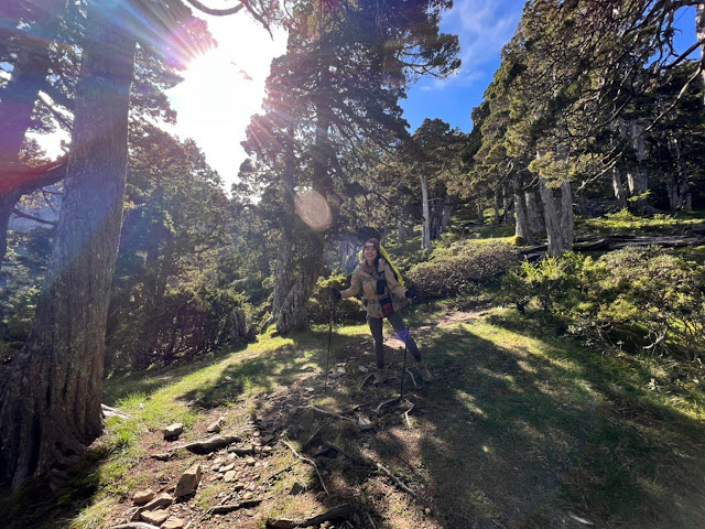 AMWts8Cb2JD_WwIiIJ3uUNiJVItRCUE_vJfUlzvBl7cc3-bpuqaMFH0RtpgSxl9lEbmww3cF2vS8R5i_L7iSElxu8CAINy2NIbO5b4smoGYmi6QJNaVqno5oaoAkrBQFDW99uPzyBJ8MZlNmH31m-a2OW1cv=w640-h480?authuser=5