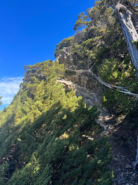 AMWts8Cotv6sX3myqTfECNPcthW_bmeB_41UN9U5In0b9n063pZnba1lQUrTq5QwgvgF3sI4pZG8u_4BnVGYgiDeqd0ik3DCLSVn_3LIOgvmwCvIuNP9ABDL8qf9tFAOOvMhyFenVhSht4gk7Lqxkn3eqlG4=w480-h640?authuser=5