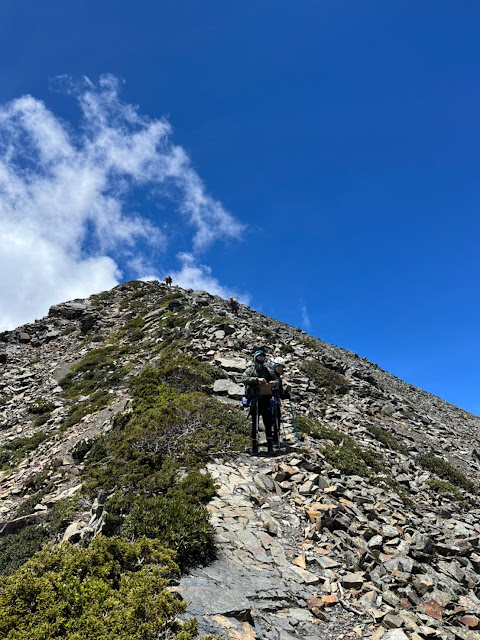 AMWts8DQkJihvc-6fq7Qc9mvkqXP1e5HQ2ebqJL1-b7H0G_4hGSVfJprWE1oJjsvjl4CUNzUFLXR0yUh32xuyTic-7AwctOCxDwNgnFKaREDHUZLktSevwK_dGq0yn5DQ_yfc0pK7bi34DDuzC5L90LaP9Tx=w480-h640?authuser=5