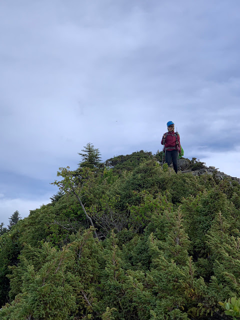 AMWts8DTpVW4az4V69ba3dKXJ-2hxYGsBCBwipNSdL9H1Y2pjS5--gHO7_Fex1429UynwFMvRPcp20kRzniqI1xIMLKJ109ayyjBXhM0lYrp7Yqf9XJ2-Fu-IccRIN6Ui6dvQr4ikQvsYdop-R4Dk9cG2wPt=w480-h640?authuser=5