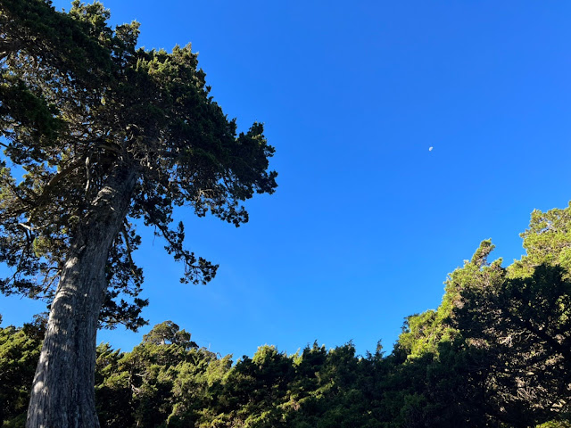 AMWts8DseY_ckegYnv1gTUve5Rr5WaDwpzoSX6F0F3oR3F2g4Jjj8JTEWaGFaJ1UJ7xVPQiC6jt79uFcJefJxhCEZb7RqNwEGCIeeZsPj2ns5DKCHspVOZ_LTW644YzRD23ctYGSW6tk2CvDraIyzdEQyc_m=w640-h480?authuser=5