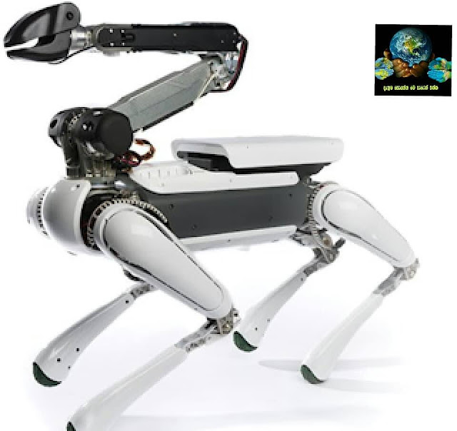 ලොව හොඳම රොබෝවරු (The Best Robots In The World) - Your Choice Way