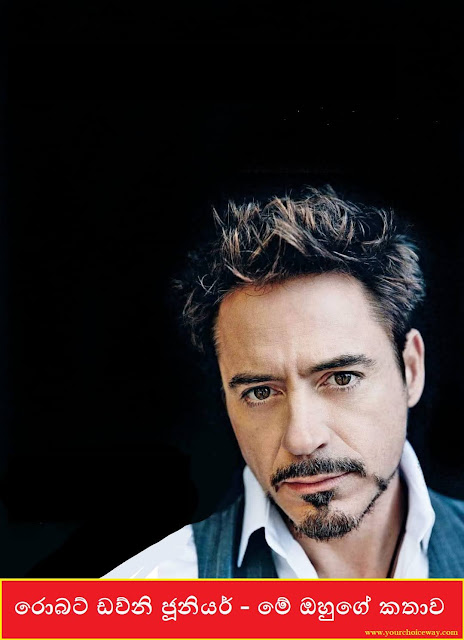 රොබට් ඩව්නි ජූනියර් - මේ ඔහුගේ කතාව (Robert Downey Jr.) - Your Choice Way