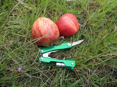 Some apples to refresh at the summit of channarayanadurga