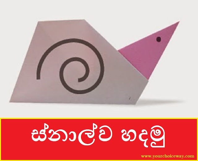 ස්නාල්ව හදමු (Origami Snal) - Your Choice Way