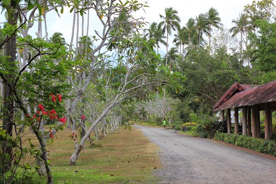 Địa điểm du lịch Philippines. Nhà hàng thác nước Villa Escudero