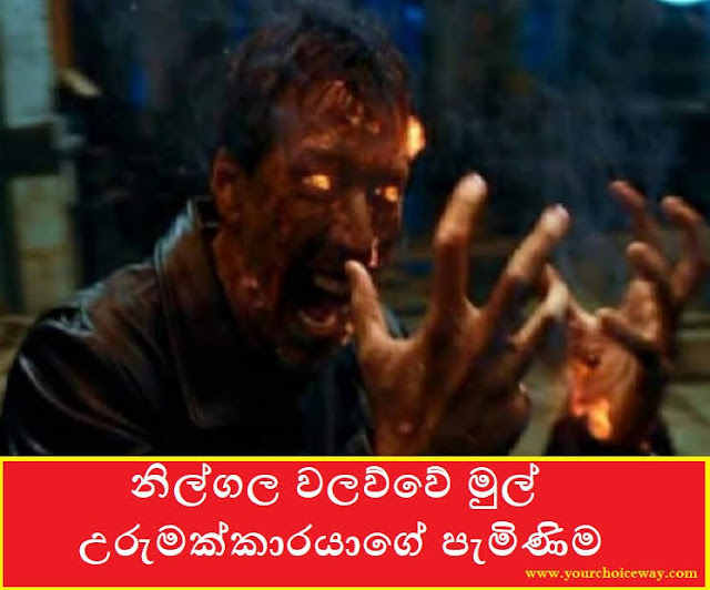 නිල්ගල වලව්වේ මුල් උරුමක්කාරයාගේ පැමිණිම (Horror) - Your Choice Way