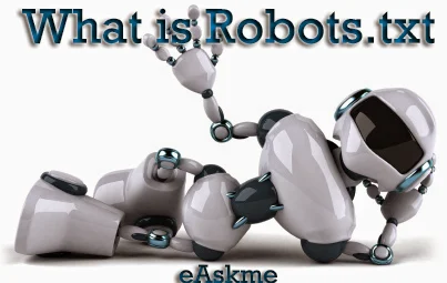 What is Robots.txt file and how to optimize for WordPress blog : eAskme