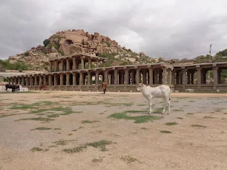 A cow happily standing in the Hampi royal bazar