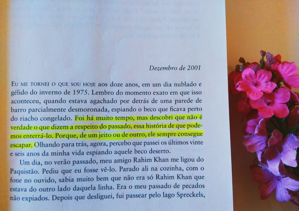 resenha livro o caçador de pipas