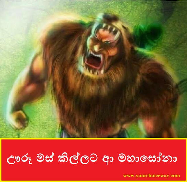 ඌරූ මස් කිල්ලට ආ මහාසෝනා (Mahasona) - Your Choice Way