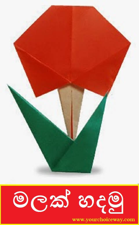 මලක් හදමු (Origami Flower) - Your Choice Way