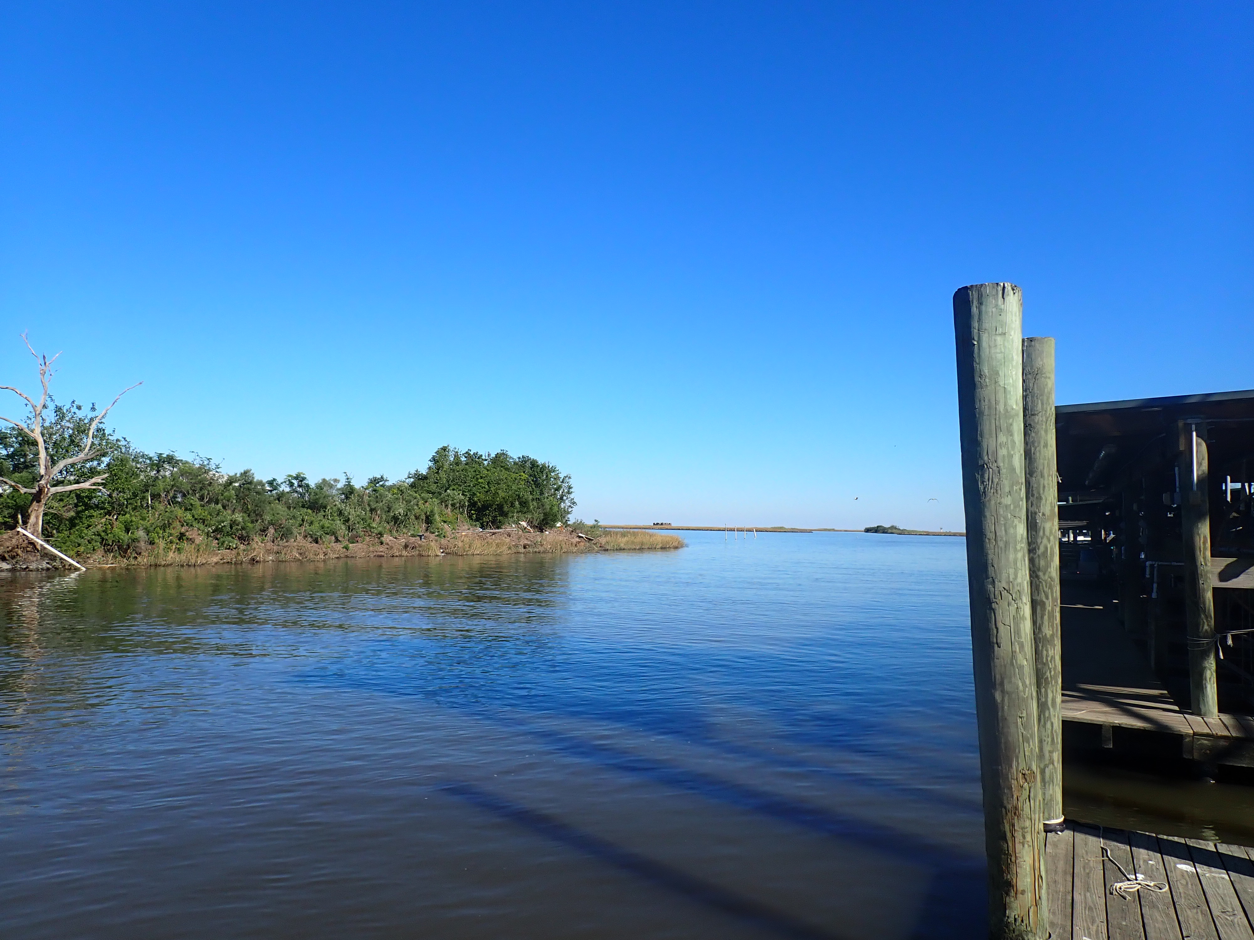Southeastern Louisiana Paddling Another Fort Proctor Paddle 5 6