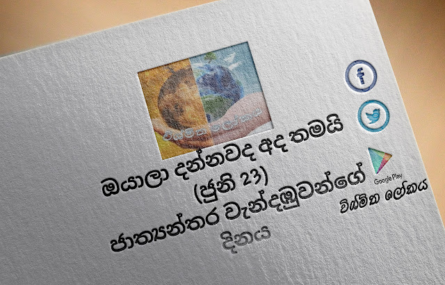 දවසේ වැදගත්කම - ජුනි 23 ජාත්‍යන්තර වැන්දඹුවන්ගේ දිනය (Significance Of The Day - June 23 International Widows' Day) - Your Choice Way