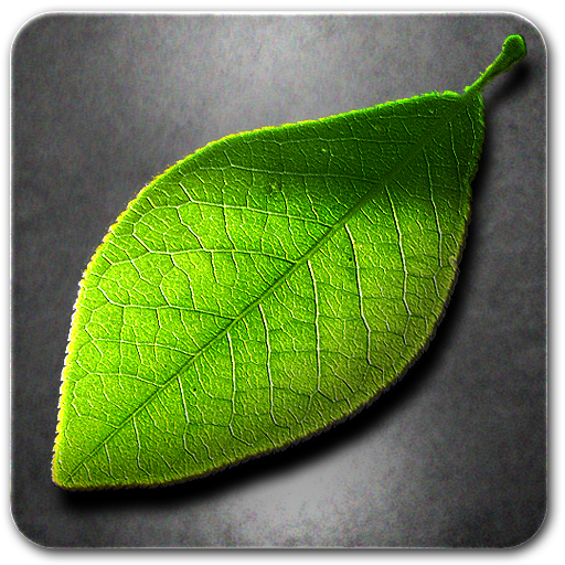 Fresh Leaves v1.5 APK
